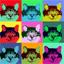 cat pop art image