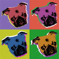 pug pop art print