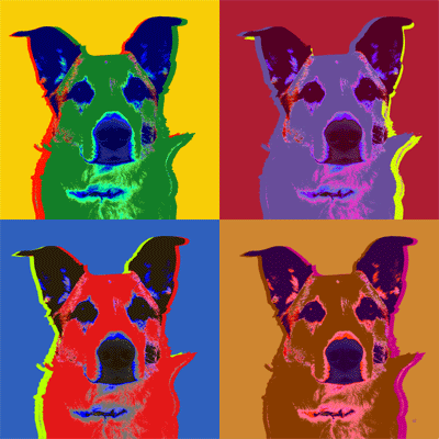 Dog pop art