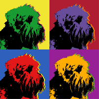 westie pop art