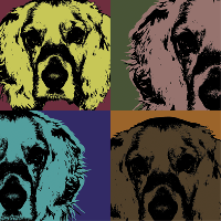 cocker spaniel pop art