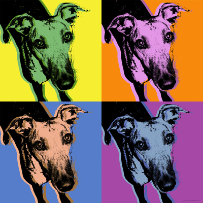 greyhound print